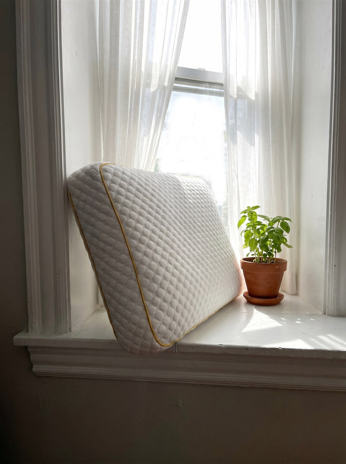 Pillowash washable pillow leaning against a sunny windowsill next to a potted basil plant to air out